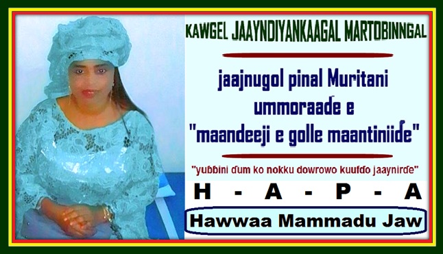 Kawgel HAPA 2023 (Hawwa Mammadu JAW)